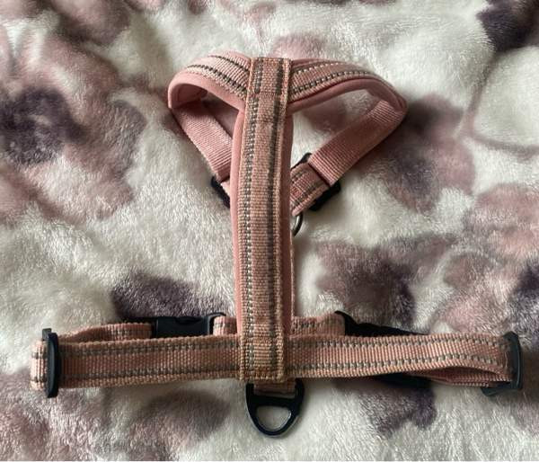 Pehmustetut Feel Active vaaleanpunaiset valjaat pikkukoiralle Lempäälä - valokuva 2