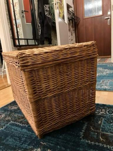 Rottinki kori Kaarina - valokuva 3