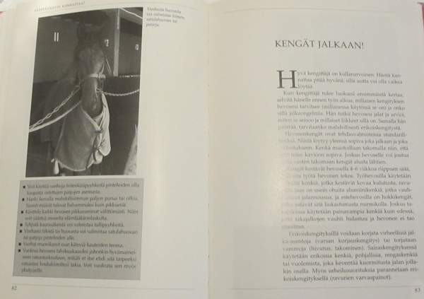 Vauhtia Kultakavio! Espoo - valokuva 6