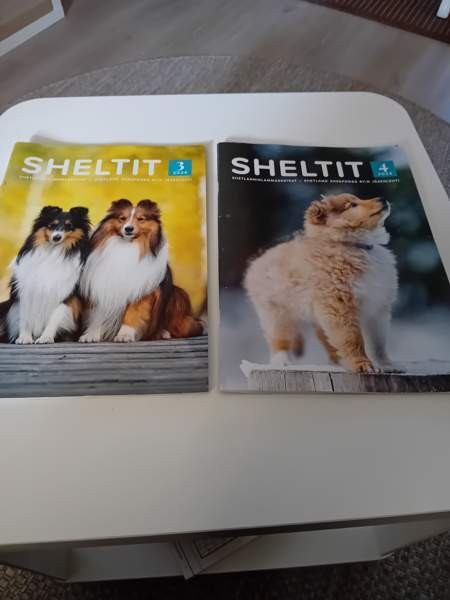 Sheltti lehdet Oulu - valokuva 2