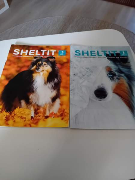 Sheltti lehdet Oulu - valokuva 1