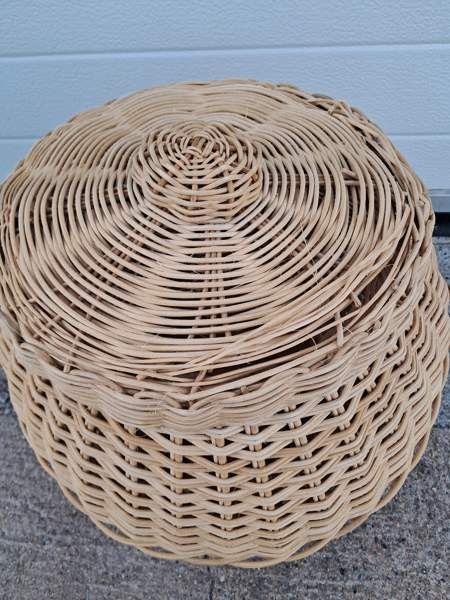 Rottinkikori Mustasaari - valokuva 2