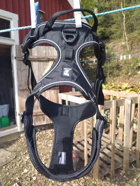 Feel active koiran valjaat Сало - изображение 1