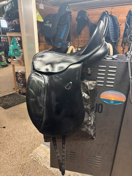 Kieffer koulusatula Lapua - изображение 1