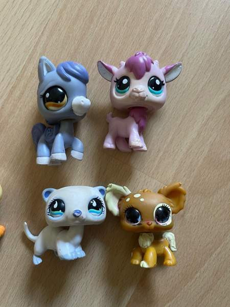 Vanhoja LPS Joensuu - valokuva 3