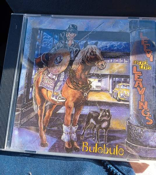 Leevi and the leavings: Bulebule Йоэнсуу - изображение 1