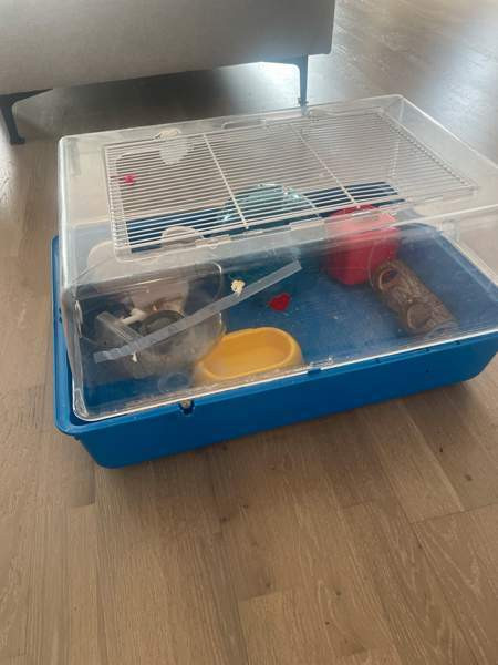 Hamsterin häkki ja tarvikkeet. Helsinki - valokuva 1