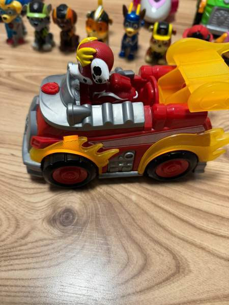 Ryhmä Hau pennut Tampere - valokuva 5