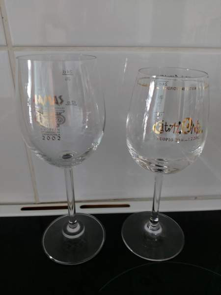 Viinijuhla viinilasit Kuopio – foto 1