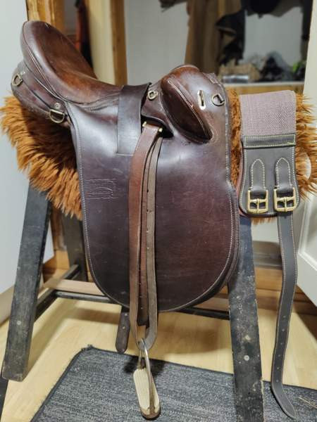 Australialainen karjasatula Petäjävesi - valokuva 2