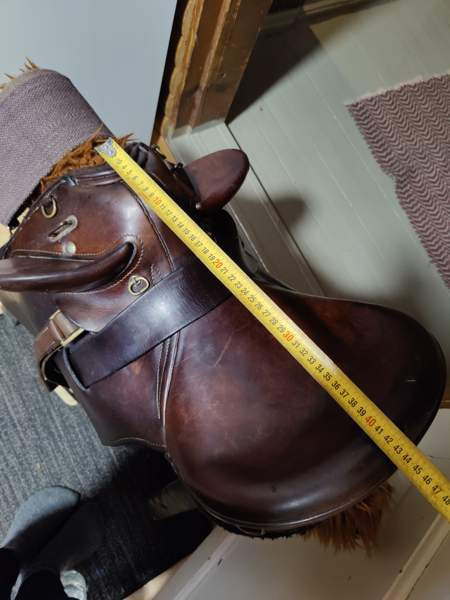 Australialainen karjasatula Petäjävesi - valokuva 6