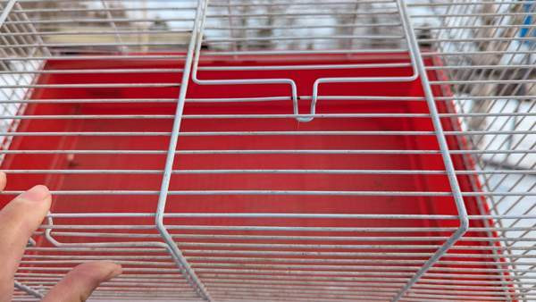 Häkki Joensuu – foto 4