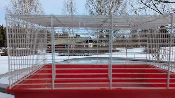 Häkki Joensuu – foto 2