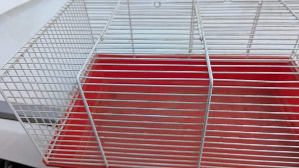 Häkki Joensuu – foto 8