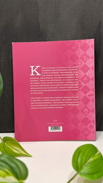 Nystén: Kemikaalikimara lapsiperheille Jyväskylä - valokuva 5