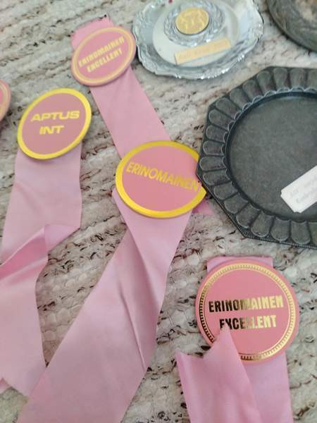 Palkintoja Kurikka – foto 2