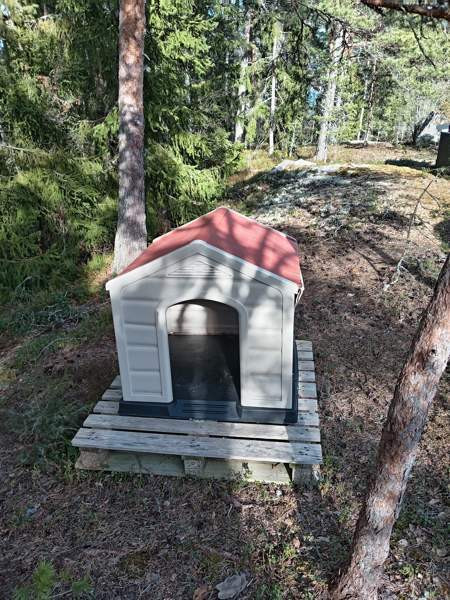 Koirankoppi 50€ Taivassalo - valokuva 2