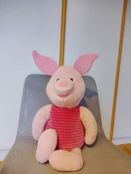 Nasu pehmolelu Vieremä - photo 1