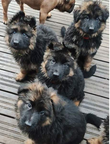 Pentu Rauma - valokuva 1