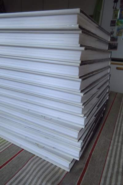 Asterix kirjasto hyväkuntoinen. Kunto näkyy kuvissa. Lahti - valokuva 4