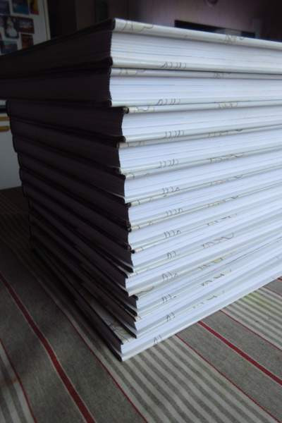 Asterix kirjasto hyväkuntoinen. Kunto näkyy kuvissa. Lahti - valokuva 3