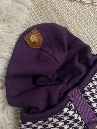 Puppia uudet valjaat Turku - valokuva 5