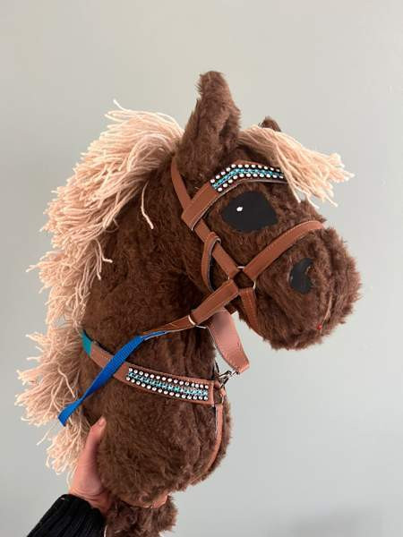 Keppihevonen Iitti – foto 1