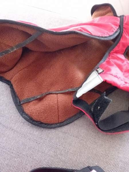 Takki ja juoksuhousut Turku – foto 2