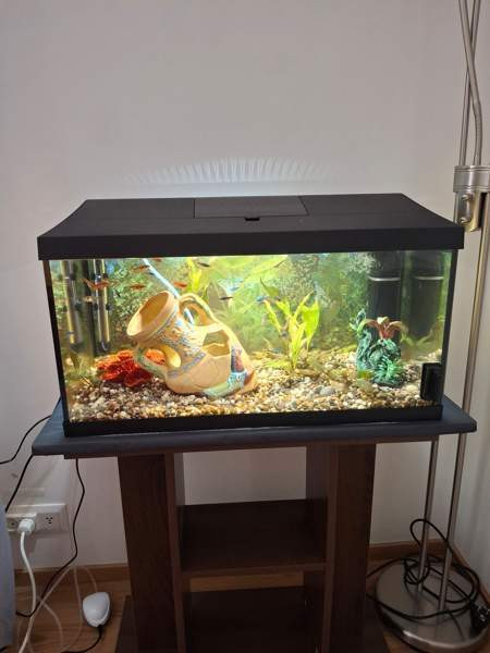 Akvaario ja teline. Kauhava - photo 1