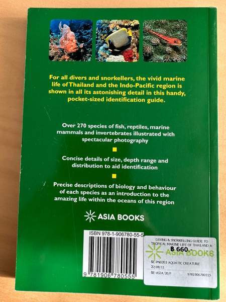 Sukellus, snorklaus ja kalat Vantaa – foto 2