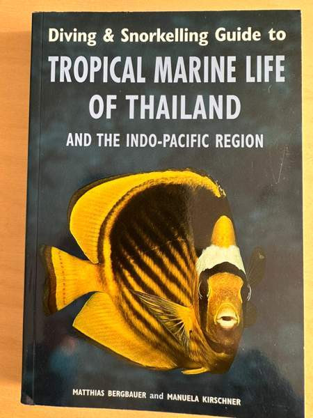 Sukellus, snorklaus ja kalat Vantaa – foto 1