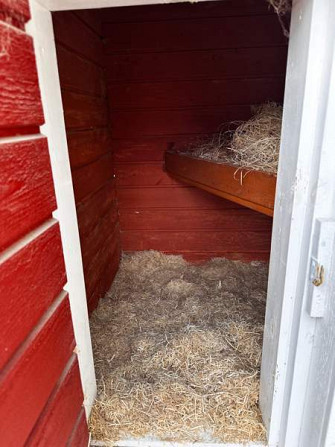 Koirankoppi Sonkajärvi – foto 3