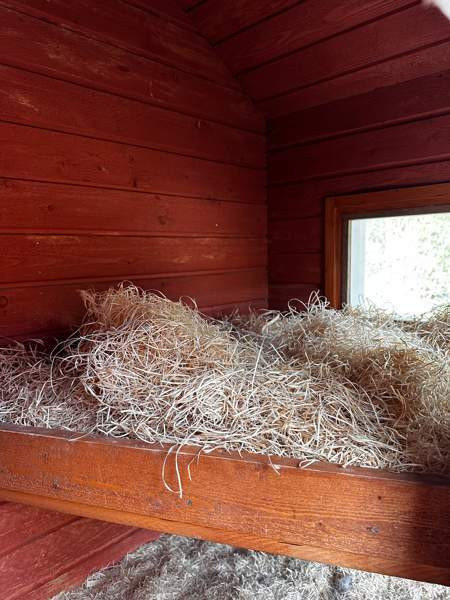 Koirankoppi Sonkajärvi - valokuva 2