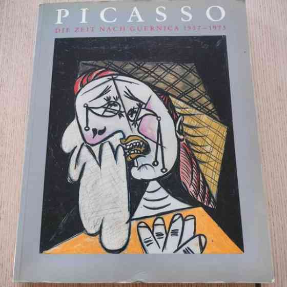 Picasso taide kirja Jyväskylä