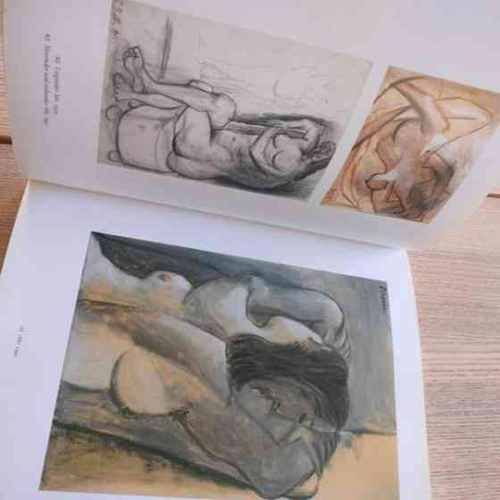 Picasso taide kirja Jyväskylä