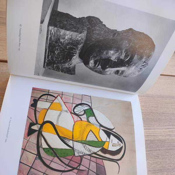 Picasso taide kirja Jyväskylä - valokuva 3