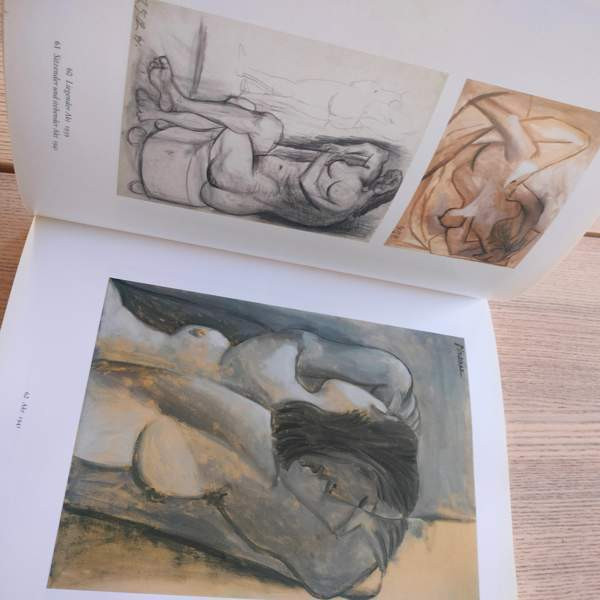 Picasso taide kirja Jyvaeskylae – foto 4