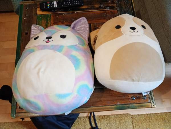 Squissit Kaarina - photo 1