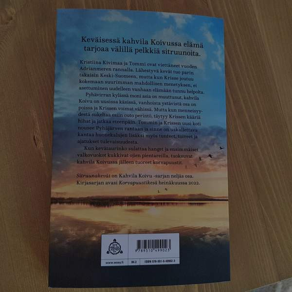 Maija Kajanto Sitruunakevät Лаппенранта - изображение 2