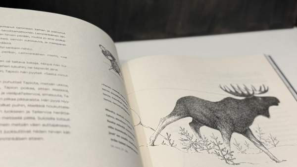 Suomen lasten Kalevala Ювяскюля - изображение 5