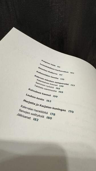 Suomen lasten Kalevala Jyväskylä - valokuva 4