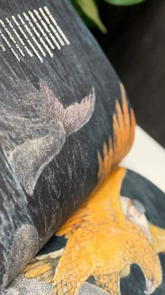 Suomen lasten Kalevala Jyväskylä - valokuva 6