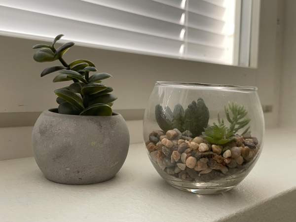 Tekokasvit 2 kpl Нурмиярви - изображение 1