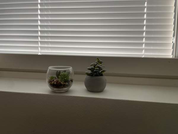 Tekokasvit 2 kpl Нурмиярви - изображение 4