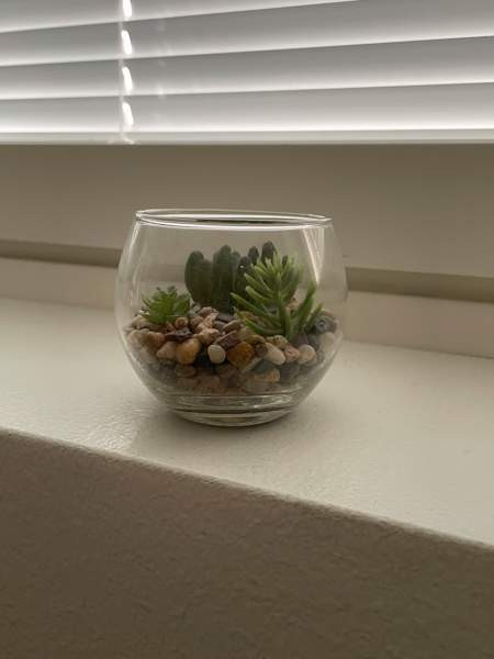 Tekokasvit 2 kpl Нурмиярви - изображение 3