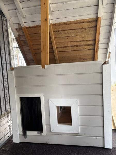 Eristetty koirankoppi etäisellä ja ikkunalla Oulu – foto 1