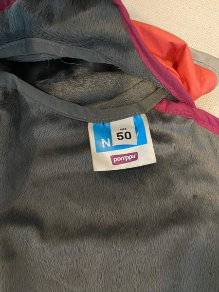 Pomppa 50cm Janakkala - valokuva 3