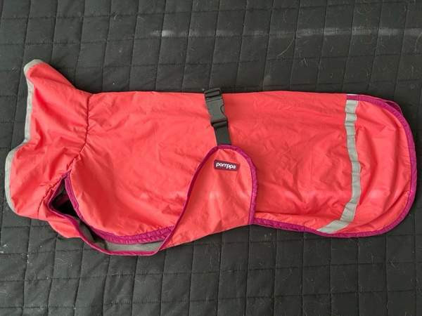 Pomppa 50cm Janakkala - valokuva 1