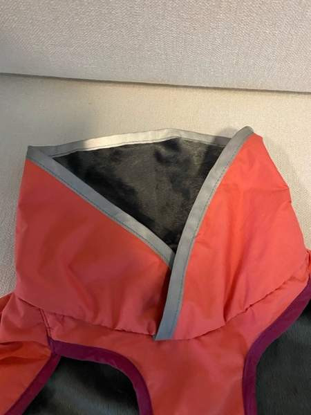 Pomppa 50cm Janakkala - valokuva 2