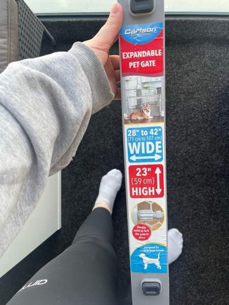 Koiraportti Тампере - изображение 2